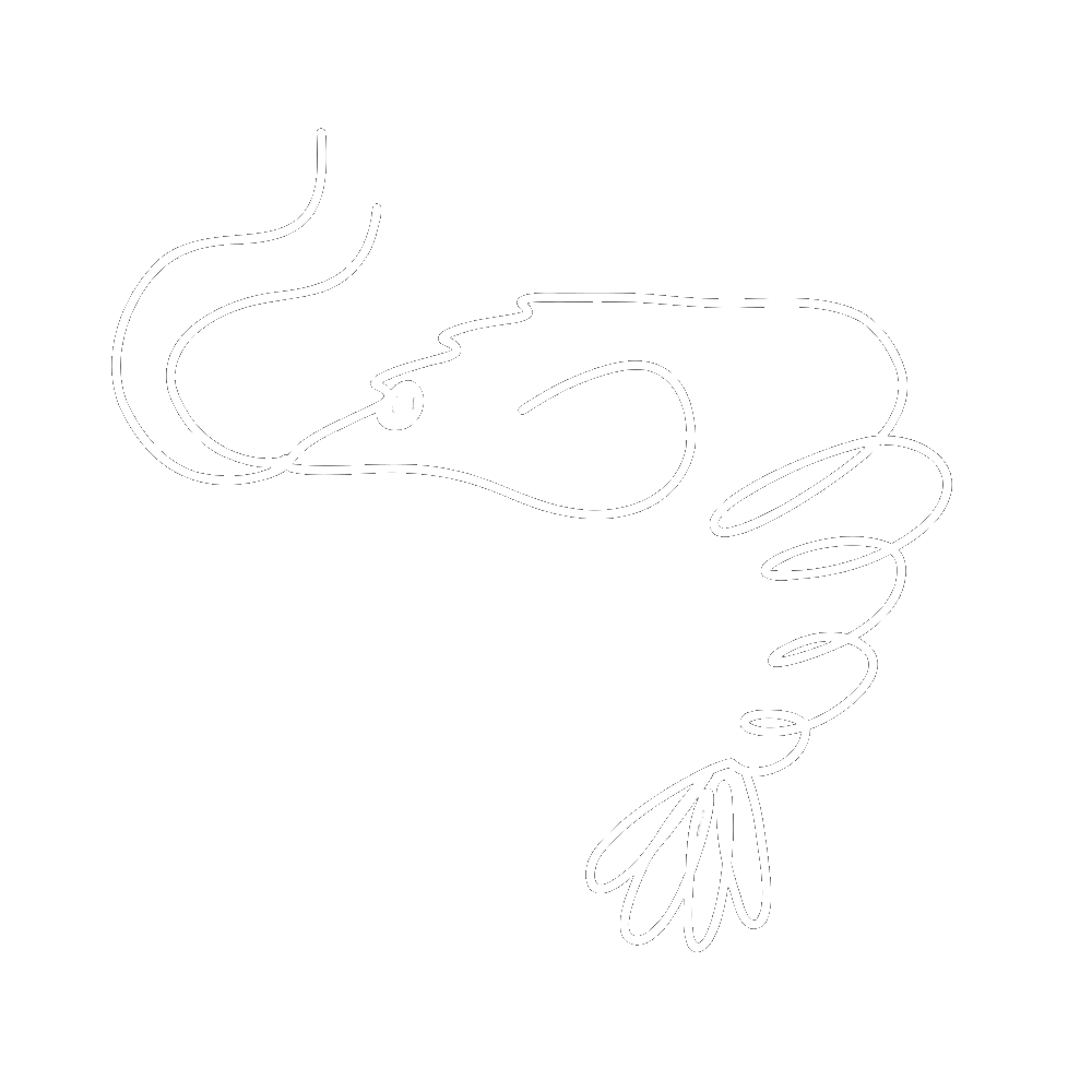 logo of Funky Shrimp