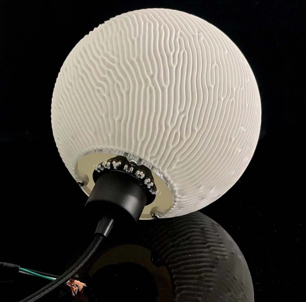 Photo of a designed lamp showcasing reaction diffusion